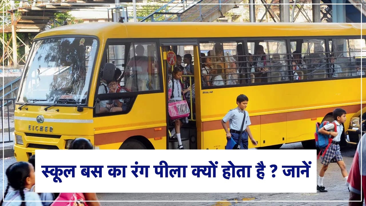 स्कूल बस का रंग पीला क्यों होता है