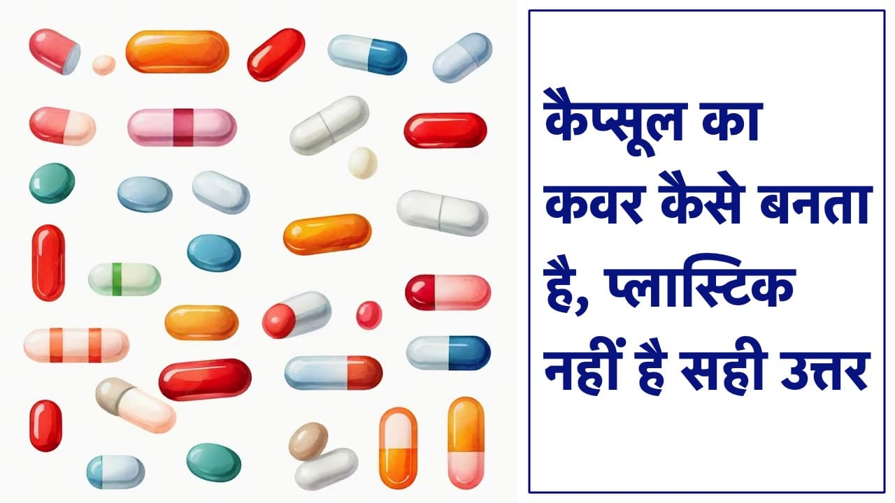 कैप्सूल का कवर कैसे बनता है, प्लास्टिक नहीं है सही उत्तर GK In HIndi